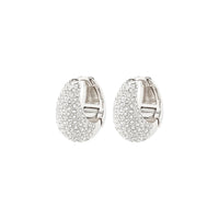 Pilgrim Focus Crystal Earrings